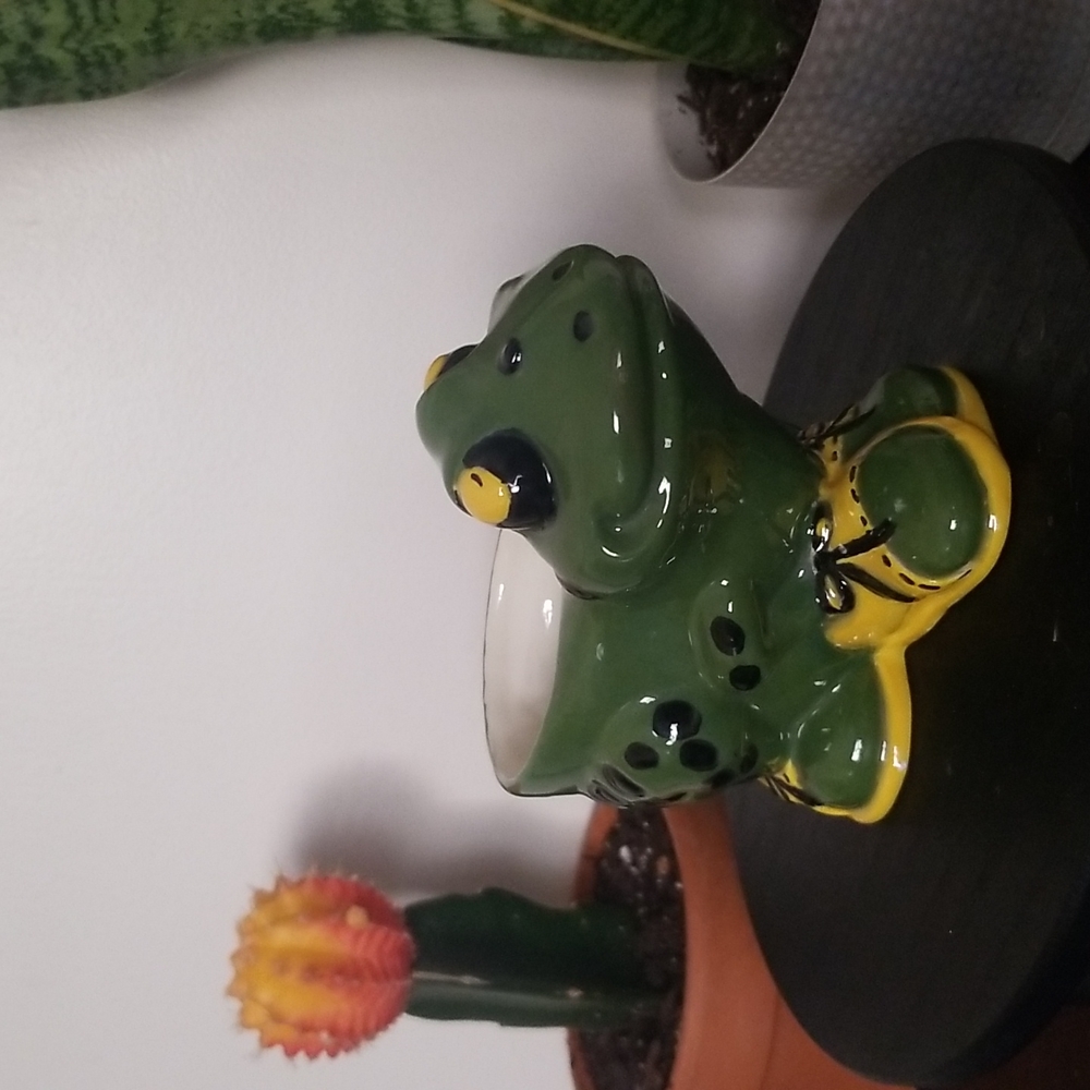 Ceramic Frog Holder